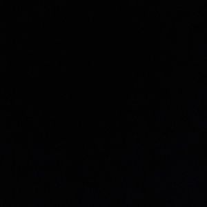 Meet your Posher, Loraine